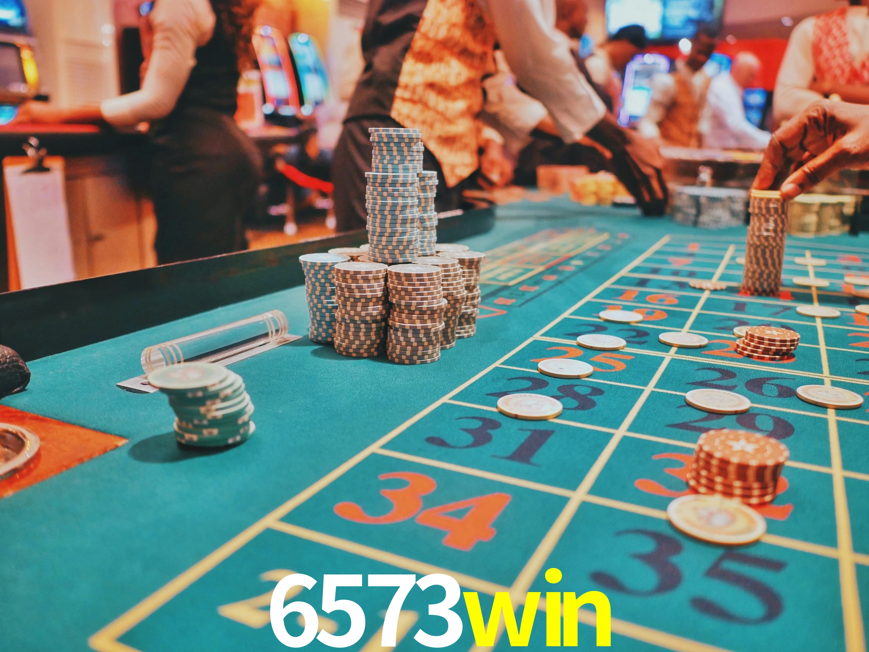 Programa VIP 6573win
